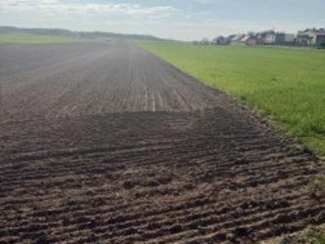 Bezpośrednio, Osiek, 4000 m² Działka