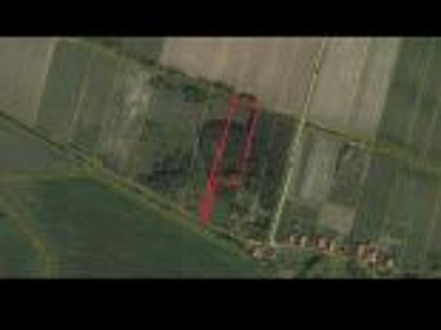 Bezpośrednio, Osiek, Osiek Mały, 6000 m² Działka