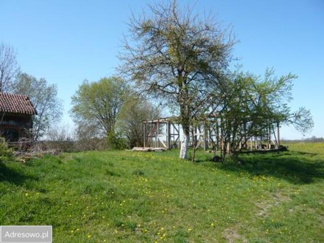 Bezpośrednio, Osiniak Piotrowo, 13855 m² Działka