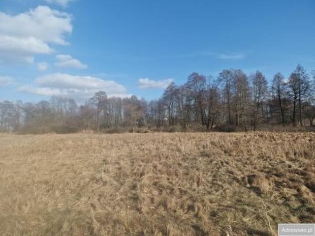 Bezpośrednio, Otrębusy, ul. Torfowa, 7056 m² Działka