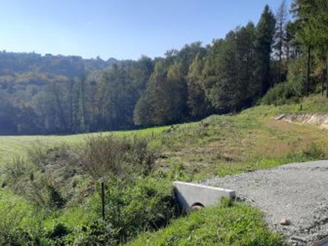 Bezpośrednio, Łowczów, Kamieniec, 7400 m² Działka