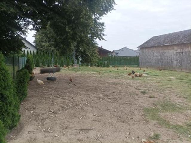 Bezpośrednio, Owczarnia, Cegłówka, 9800 m² Działka