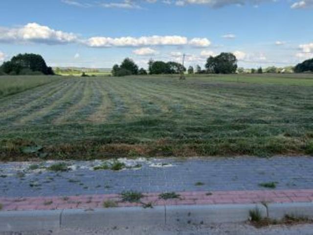 Bezpośrednio, Lasochów, 9942 m² Działka