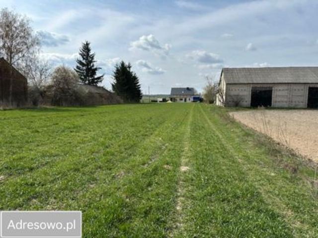 Bezpośrednio, Leśce, 1000 m² Działka