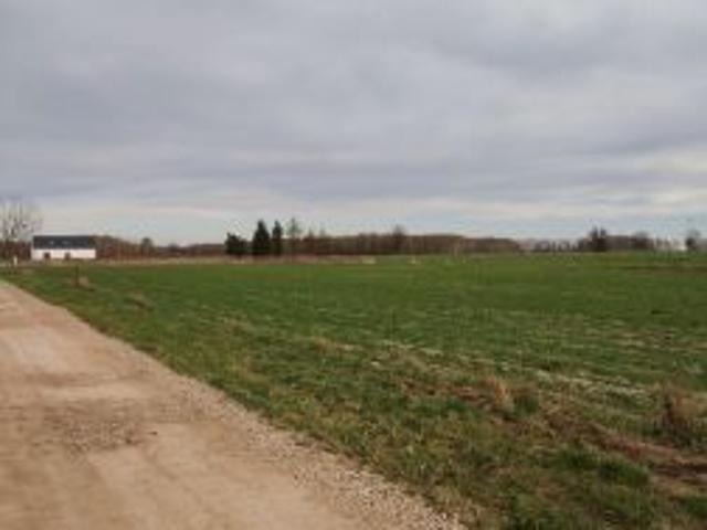 Bezpośrednio, Leśne Odpadki, ul. Jagodowa, 2080 m² Działka