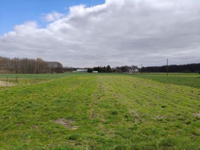 Bezpośrednio, Leśniczówka, 2947 m² Działka