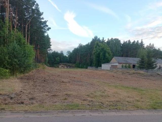 Bezpośrednio, Lelów, Zbyczyce, 5300 m² Działka