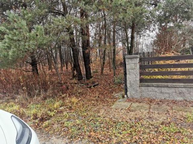 Bezpośrednio, Leokadiów, ul. Zacisze, 877 m² Działka