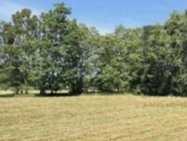Bezpośrednio, Ślepowrony, 2000 m² Działka
