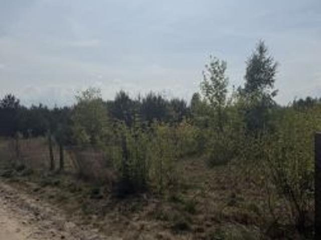 Bezpośrednio, Lesznowola, 3000 m² Działka