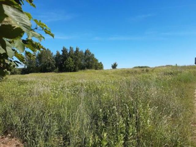Bezpośrednio, Leszcz, 5000 m² Działka