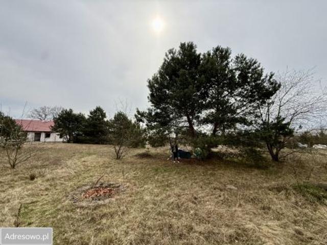 Bezpośrednio, Lipa, 4071 m² Działka