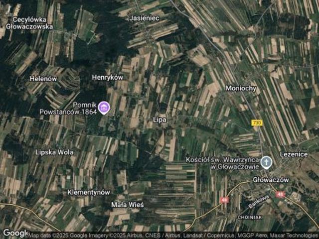 Bezpośrednio, Lipa, 3000 m² Działka