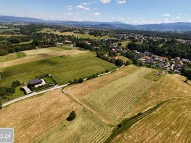 Bezpośrednio, Lipowa, ul. Popielata, 7000 m² Działka