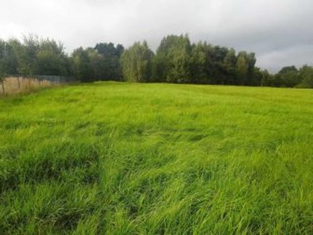 Bezpośrednio, Lipowa, 3166 m² Działka
