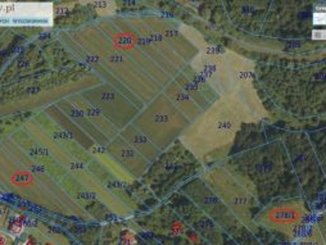 Bezpośrednio, Lubaszowa, Wieś, 24800 m² Działka
