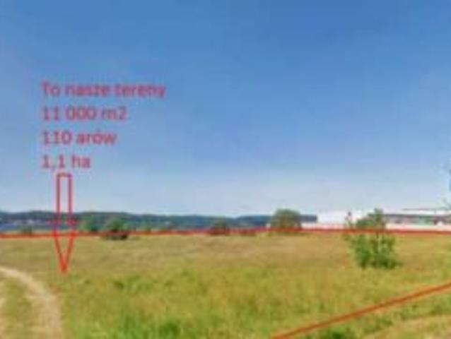 Bezpośrednio, Lubkowo, 11000 m² Działka