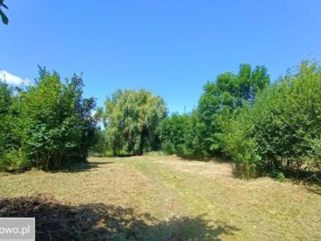 Bezpośrednio, Lubiechowa, ul. Polna, 1600 m² Działka