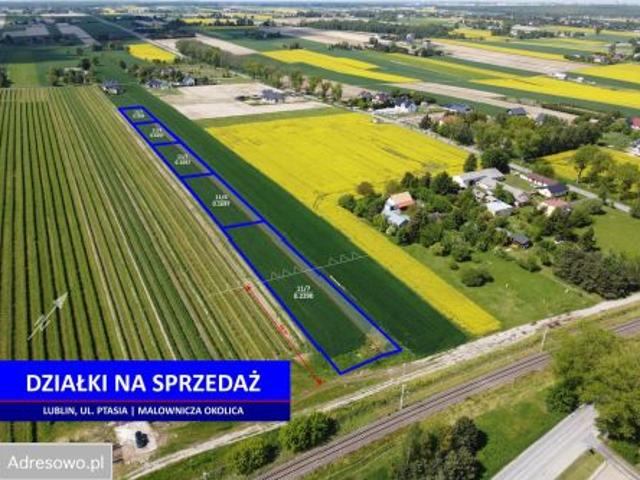 Bezpośrednio, Lublin, Zemborzyce, ul. Ptasia, 1504 m² Działka