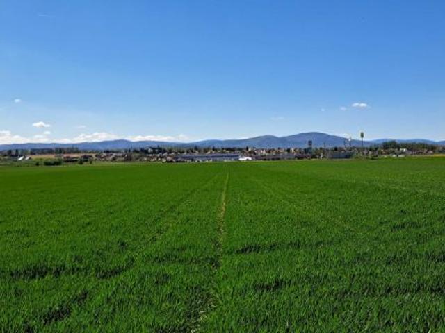 Bezpośrednio, Lubrza, 760 m² Działka