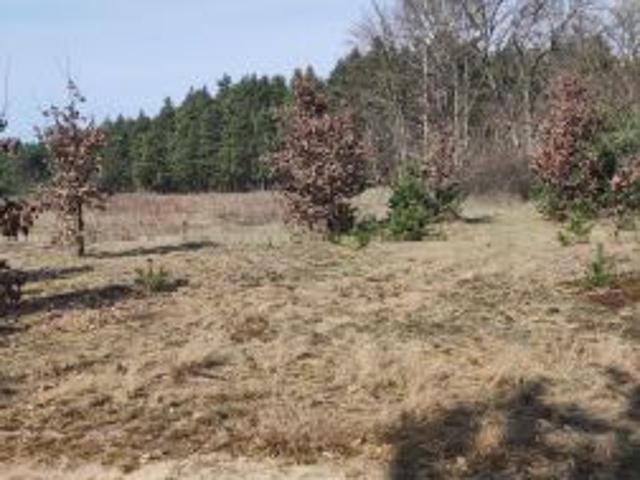 Bezpośrednio, Ludwinowo Dębskie, 1300 m² Działka