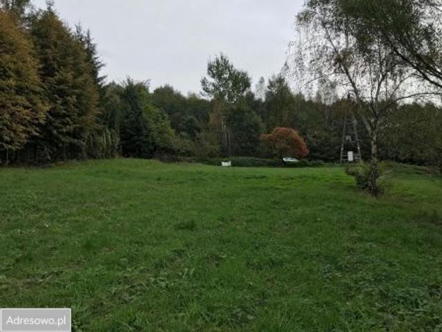 Bezpośrednio, Lusina, ul. Kwiatowa, 5091 m² Działka