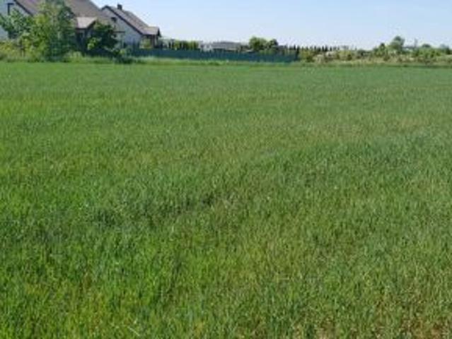 Bezpośrednio, Lusówko, ul. Grabowa, 3617 m² Działka