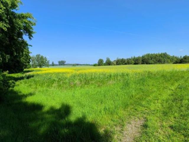 Bezpośrednio, Młyniska, 16800 m² Działka