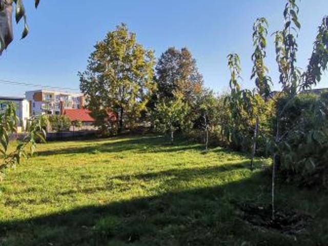 Bezpośrednio, Mława, 794 m² Działka