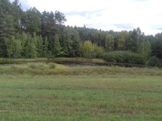 Bezpośrednio, Mściszewice, 7000 m² Działka