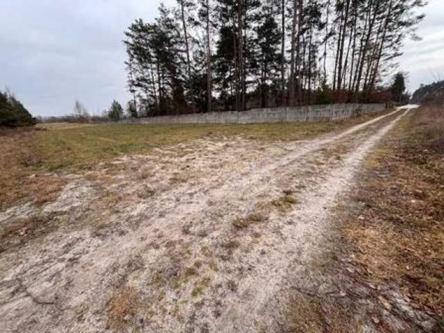 Bezpośrednio, Młodzawy Duże, 3600 m² Działka