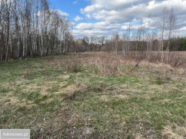 Bezpośrednio, Młoszów, 2650 m² Działka
