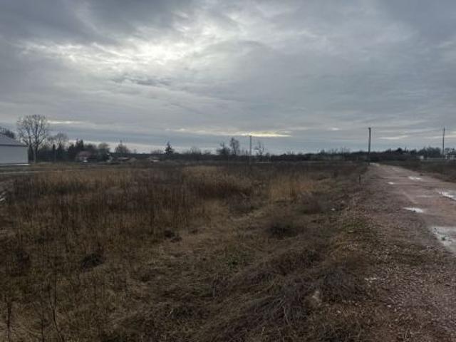 Bezpośrednio, Mnichów, 11000 m² Działka