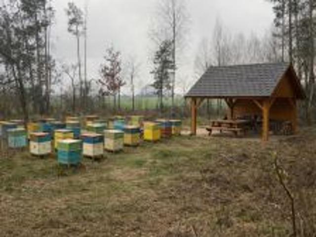 Bezpośrednio, Mościcha, 7800 m² Działka