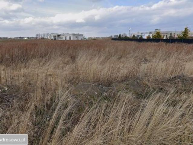 Bezpośrednio, Mokronos Górny, 3000 m² Działka