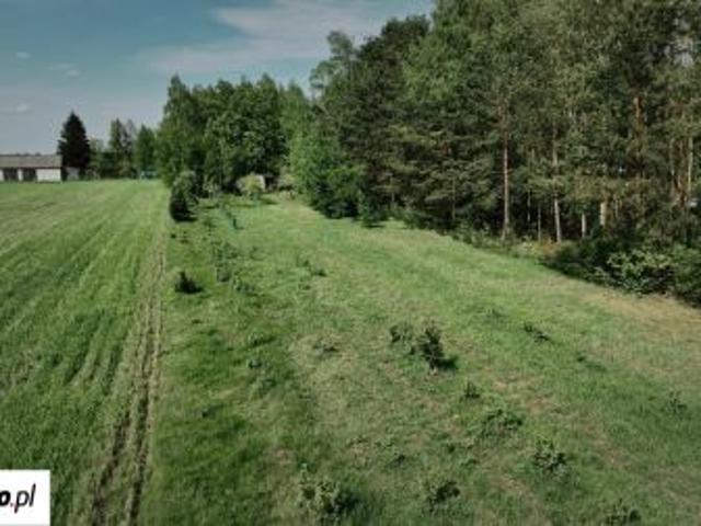 Bezpośrednio, Mokra Wieś, Szymanówek, 3900 m² Działka