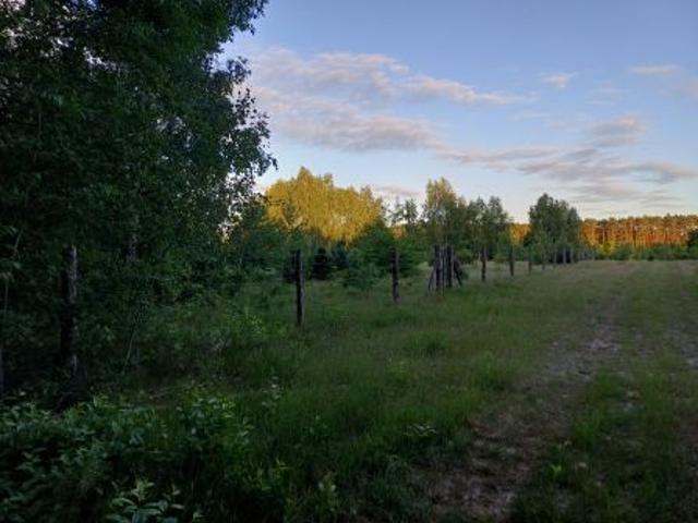 Bezpośrednio, Mokrzec, 3000 m² Działka