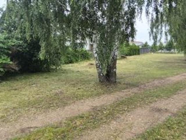 Bezpośrednio, Mosina, ul. Strzelecka, 3785 m² Działka