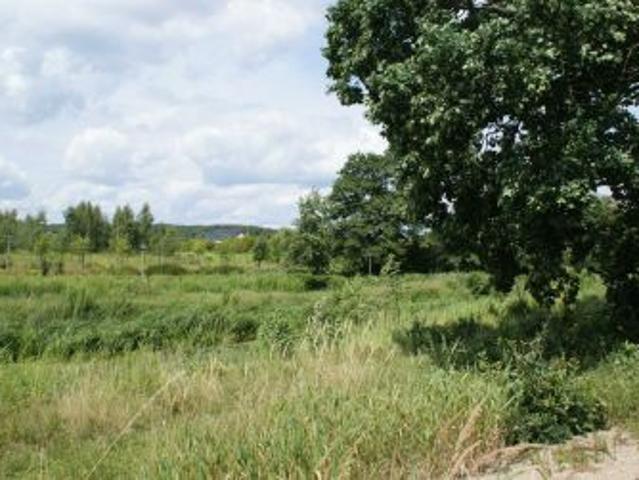 Bezpośrednio, Mosina, ul. Strzelecka, 1922 m² Działka