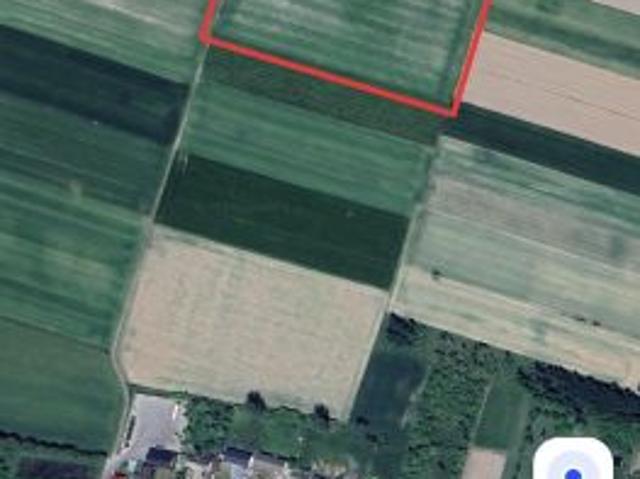 Bezpośrednio, Małecz, 24500 m² Działka