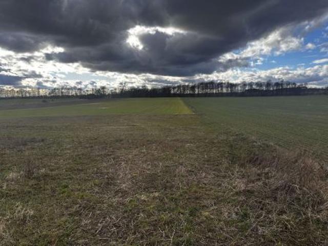 Bezpośrednio, Małkocin, 1218 m² Działka