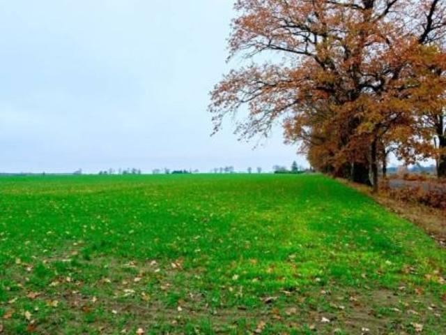Bezpośrednio, Mały Buczek, 1077 m² Działka