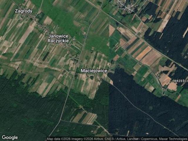 Bezpośrednio, Maciejowice, 12300 m² Działka
