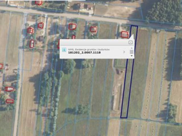 Bezpośrednio, Majdan Golczański, Knieja, 2705 m² Działka