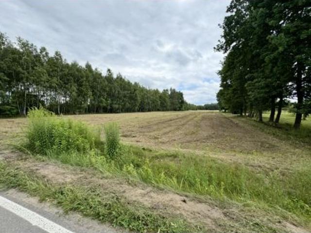Bezpośrednio, Maków Nowy, ul. gen. Stefana Grota Roweckiego, 1030 m² Działka