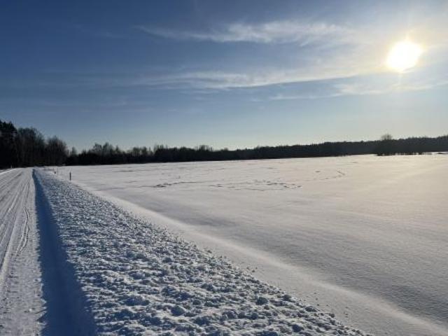 Bezpośrednio, Maksymilianów, 4474 m² Działka