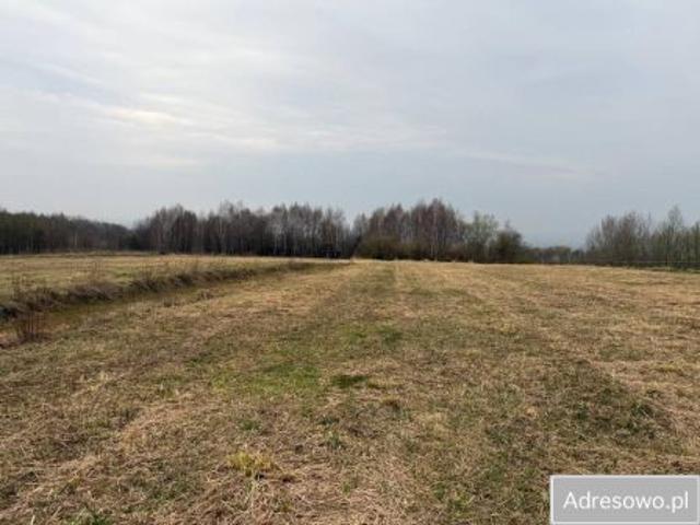 Bezpośrednio, Malawa, 3100 m² Działka