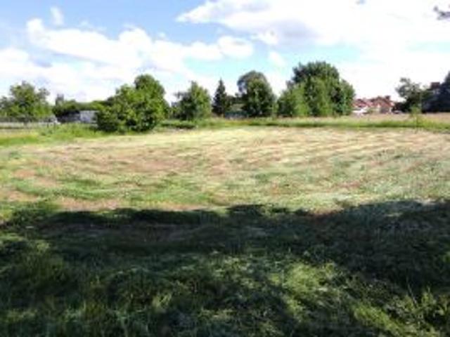 Bezpośrednio, Malbork, Wielbark, ul. Szeroka, 1094 m² Działka