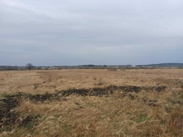 Bezpośrednio, Malechowo, 20050 m² Działka