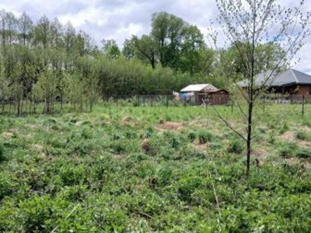 Bezpośrednio, Malużyn, 1009 m² Działka